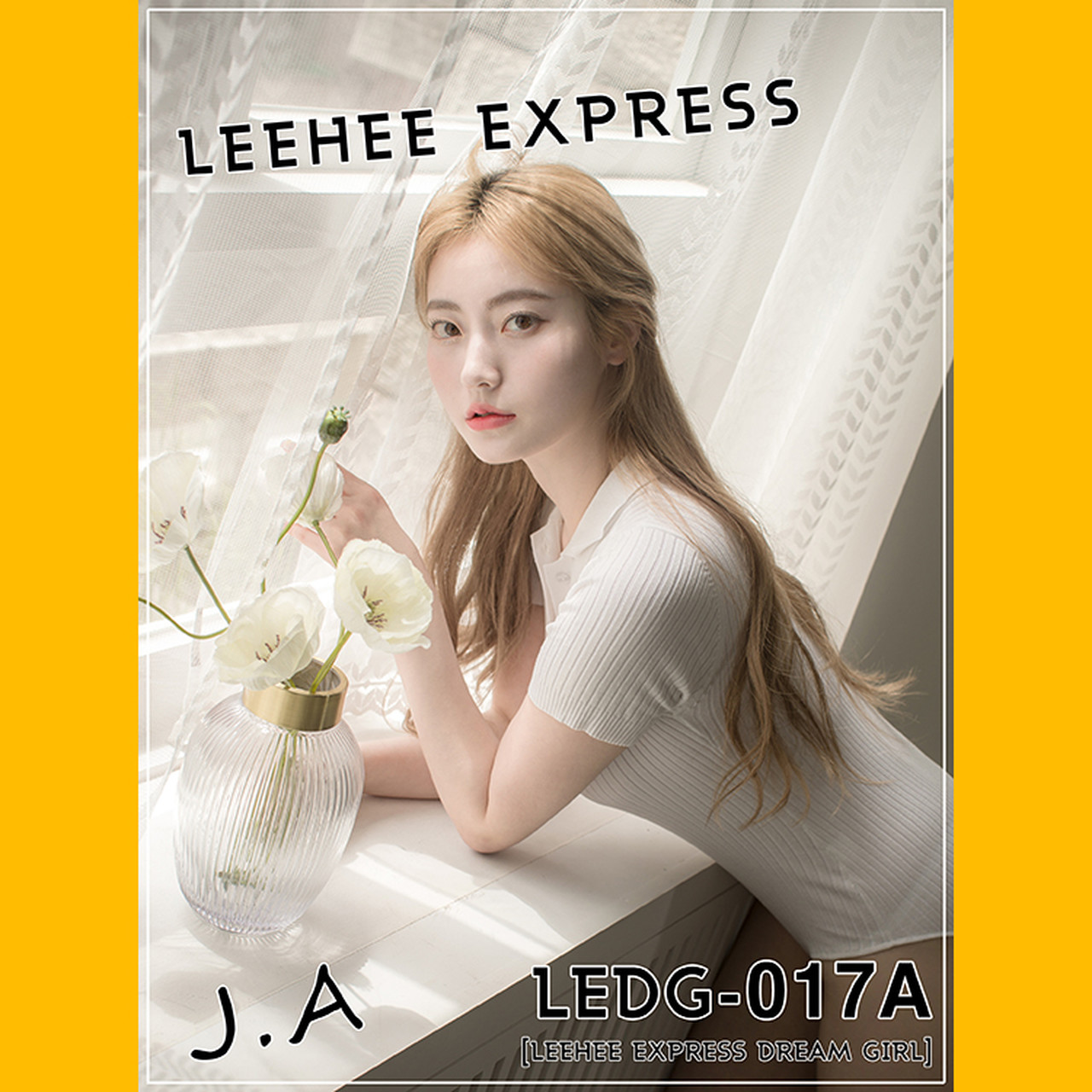 J.A [LEEHEE EXPRESS] LEDG-017A+B Set.01