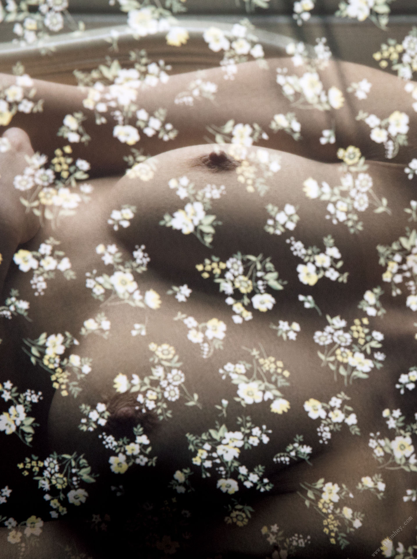 Rina Fujisaki 藤崎里菜, 写真集 電子版だけの特典カットつき！ 「Blossom」 Set.04